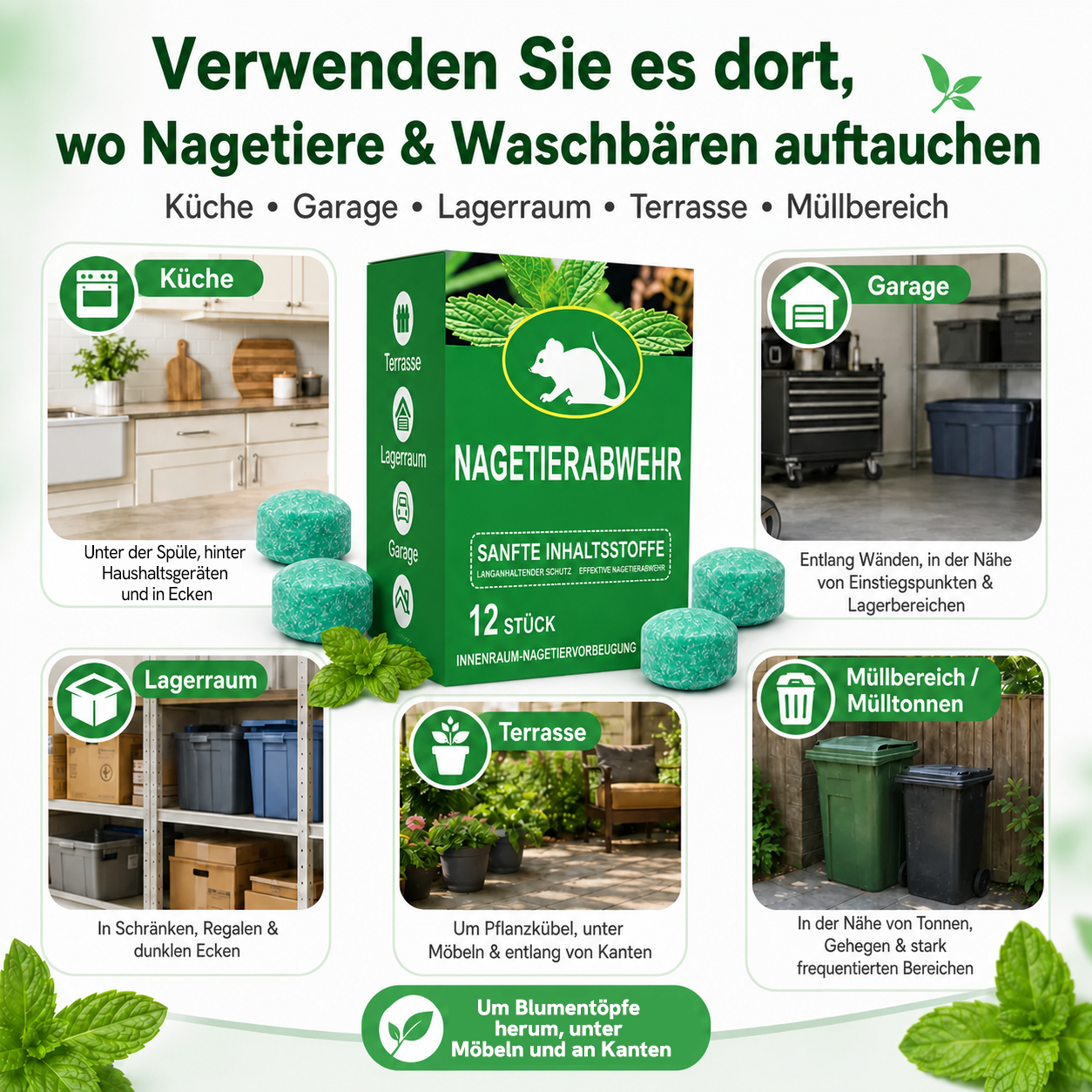 🔥Heute 50%sparen!🔥Beliebte Pfefferminz-Abwehr mit intensivem Duft – einfach und schnell anzuwenden.
