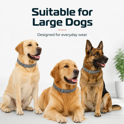 ✨Summer Limited-Time 50% OFF🔥 Adjustable Flea & Tick Collars for Dogs & Cats